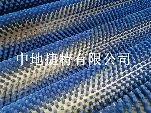 毛刷去皮机-田螺清洗机