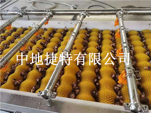 商用红薯淀粉清洗机全自动白萝卜清洗机设备