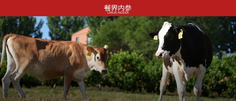 躺赚结束！牛肉餐饮迎来生死大考